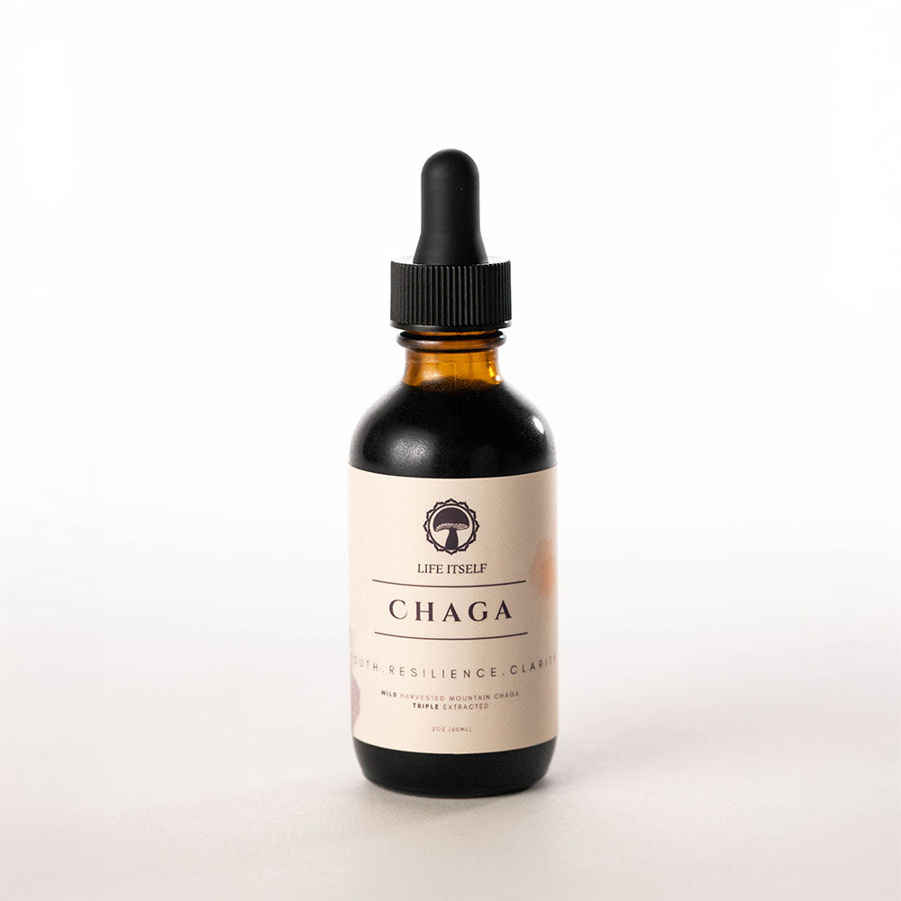 Wild Foraged Chaga Mushroom Tincture - Antioxidant-Rich Immune Support Liquid Supplement by Life Itself